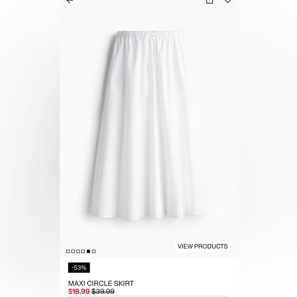 H&M Maxi Circle Skirt - L NWT